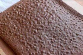 Génoise au chocolat au Thermomix