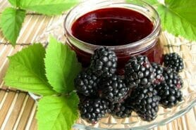 Confiture de mûres au Thermomix