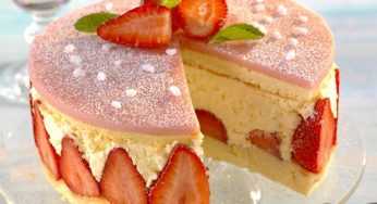 Bavarois Aux Framboises Au Thermomix Cookomix Bavarois Aux Framboises Au Thermomix Cookomix