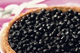 Tarte aux myrtilles au Thermomix