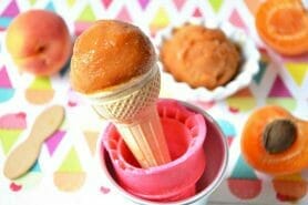 Sorbet à l’abricot au Thermomix