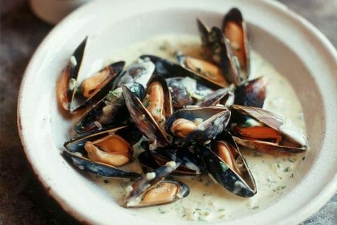 Moules sauce poulette