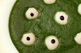 Soupe aux yeux au Thermomix