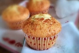 Magdalenas – Madeleines espagnoles au Thermomix