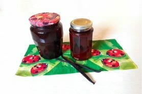 Arôme naturel de vanille au Thermomix