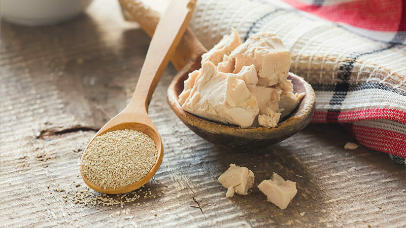 Comment diluer de la levure de boulanger sèche - La Cuisine du