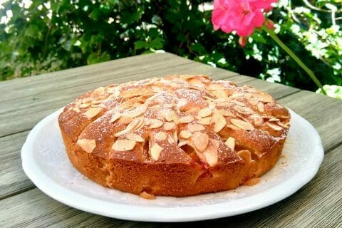 Gâteau moelleux aux abricots