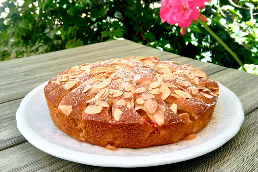 Gateau Moelleux Aux Abricots Au Thermomix Cookomix Gateau Moelleux Aux Abricots Au Thermomix Cookomix