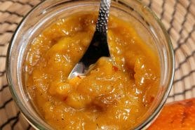 Chutney mangue ananas au Thermomix