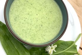 Velouté à l’ail des ours au Thermomix