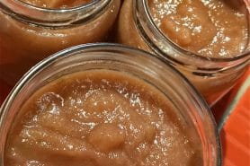 Compote pommes figues au Thermomix