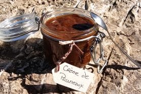 Crème de pruneaux au Thermomix