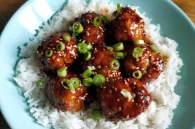 Boulettes de poulet Yakitori – Tsukune au Thermomix