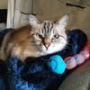 Photo du profil de Anycha