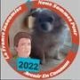 Photo du profil de VALENT1N