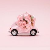 Illustration du profil de Romuline