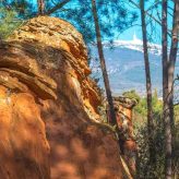 Illustration du profil de Lapuce