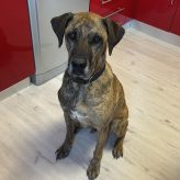 Illustration du profil de Nath 84@