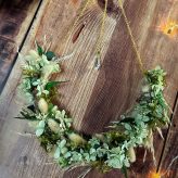 Illustration du profil de elisa_276