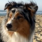 Illustration du profil de Poussinette31