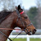 Illustration du profil de batibeuil