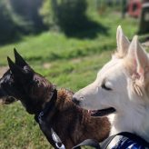 Illustration du profil de Vanessa_95