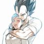 Illustration du profil de Bulma