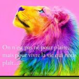 Illustration du profil de sosweet