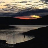 Illustration du profil de Celiou