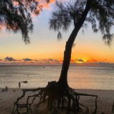 Illustration du profil de Fabiola974