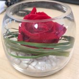 Illustration du profil de stef-74