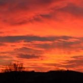 Illustration du profil de Vivi