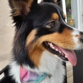 Illustration du profil de belleanna70