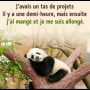 Illustration du profil de anissa_10