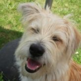 Illustration du profil de AnneC