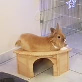 Illustration du profil de laure_53