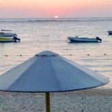 Illustration du profil de Natynat