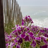 Illustration du profil de Titine61