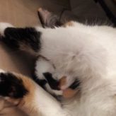 Illustration du profil de Anna