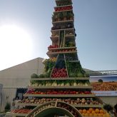 Illustration du profil de Marionnette0851