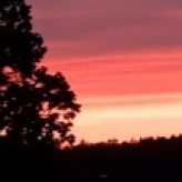 Illustration du profil de anniefleuret