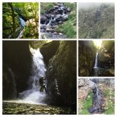 Illustration du profil de Mumu7231