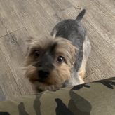 Illustration du profil de rachida71