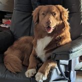 Illustration du profil de vilouette