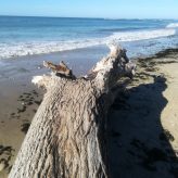 Illustration du profil de Jessyou