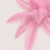 Illustration du profil de Malicia