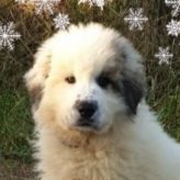 Illustration du profil de sandra9522