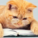 Illustration du profil de Yaya55