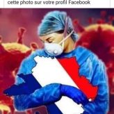 Illustration du profil de litchie71