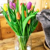 Illustration du profil de cpsmg